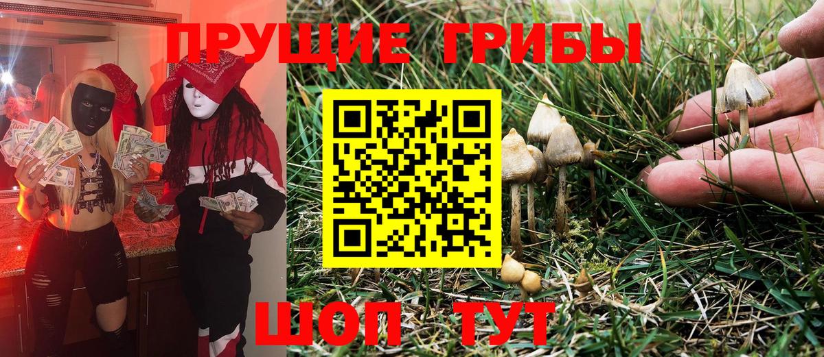 закладки  Вход с VPN  Кубинка  Галлюциногенные грибы Cubensis 
